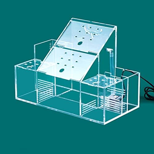 WPYYI Aquário Tank de peixes acrílico Pequeno caixa de isolamento Caixa de reprodução transparente