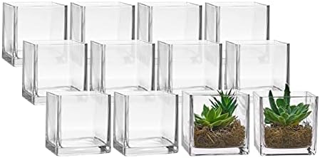 Parnoo Conjunto de 12 vasos quadrados de vidro 5 x 5 polegadas - vaso de flor da forma do cubo transparente,