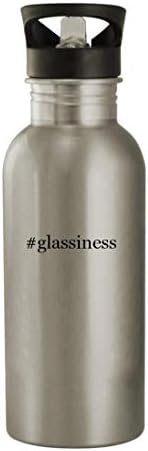 Presentes de Knick Knack Glassiness - 20 onças de aço inoxidável garrafa de água, prata