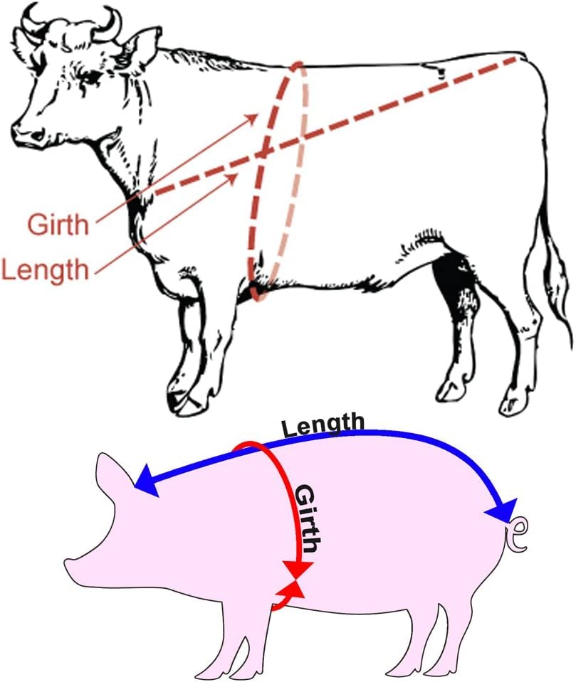 Fita de medição de peso de porco gxjtape - Peso profissional de gado e fita de altura - Medida - Peso corporal